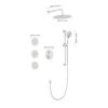 Shower System with Shower Head, Hand Shower, Slide Bar, Bodysprays, Shower Arm, Hose, Valve Trim, and Lever Handles